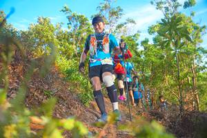 BIB: 2225
                            <button type="button" onclick="openModal(21837921)" class="btn btn-primary btn-sm float-right btn-popup" data-toggle="modal" data-target=".modal-high-quality">
                        <i class="fas fa-shopping-cart"></i> Add to Cart
                    </button>
                                            <button type="button" onclick="isThisMe(21837921, true)" class="btn btn-success btn-sm float-right btn-popup btn-isme hidden" data-toggle="tooltip" data-placement="bottom" title="นี่คือรูปของคุณใช่ไหม คลิกที่นี่เพื่อเอาเข้าอัลบั้ม">
                        <i class="fas fa-plus"></i> Add to album
                    </button>
                    <button type="button" onclick="isThisMe(21837921, false)" class="btn btn-warning btn-sm float-right btn-popup btn-isnotme hidden">
                        <i class="fas fa-ban"></i> Remove from album
                    </button>